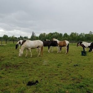 Meet your Posher, Marilyn